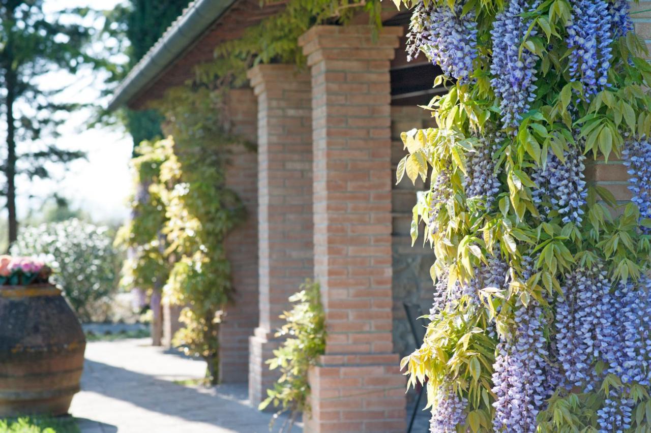 Agriturismo Canale Peccioli Exterior photo